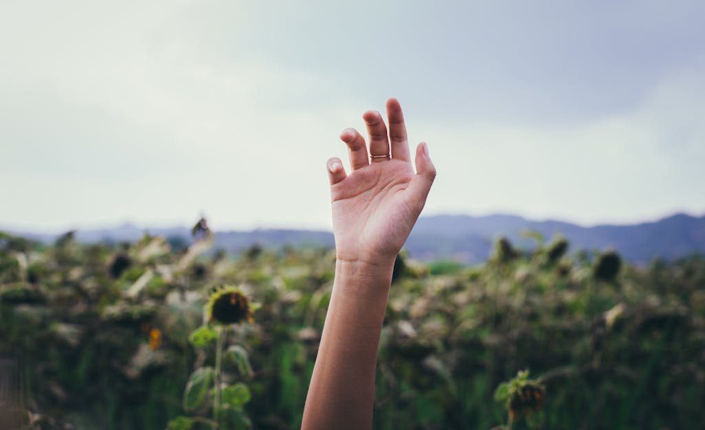 A single hand is raised against a backdrop of sunflowers and mountains, capturing a moment of freedom.