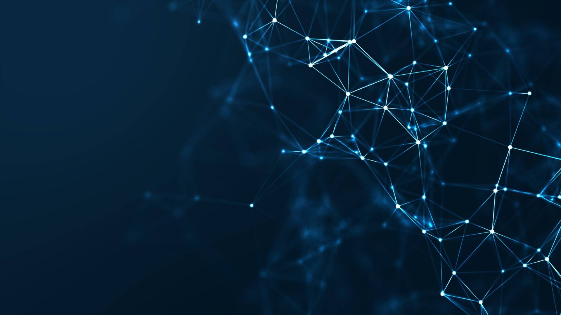 network wallpaper scaled